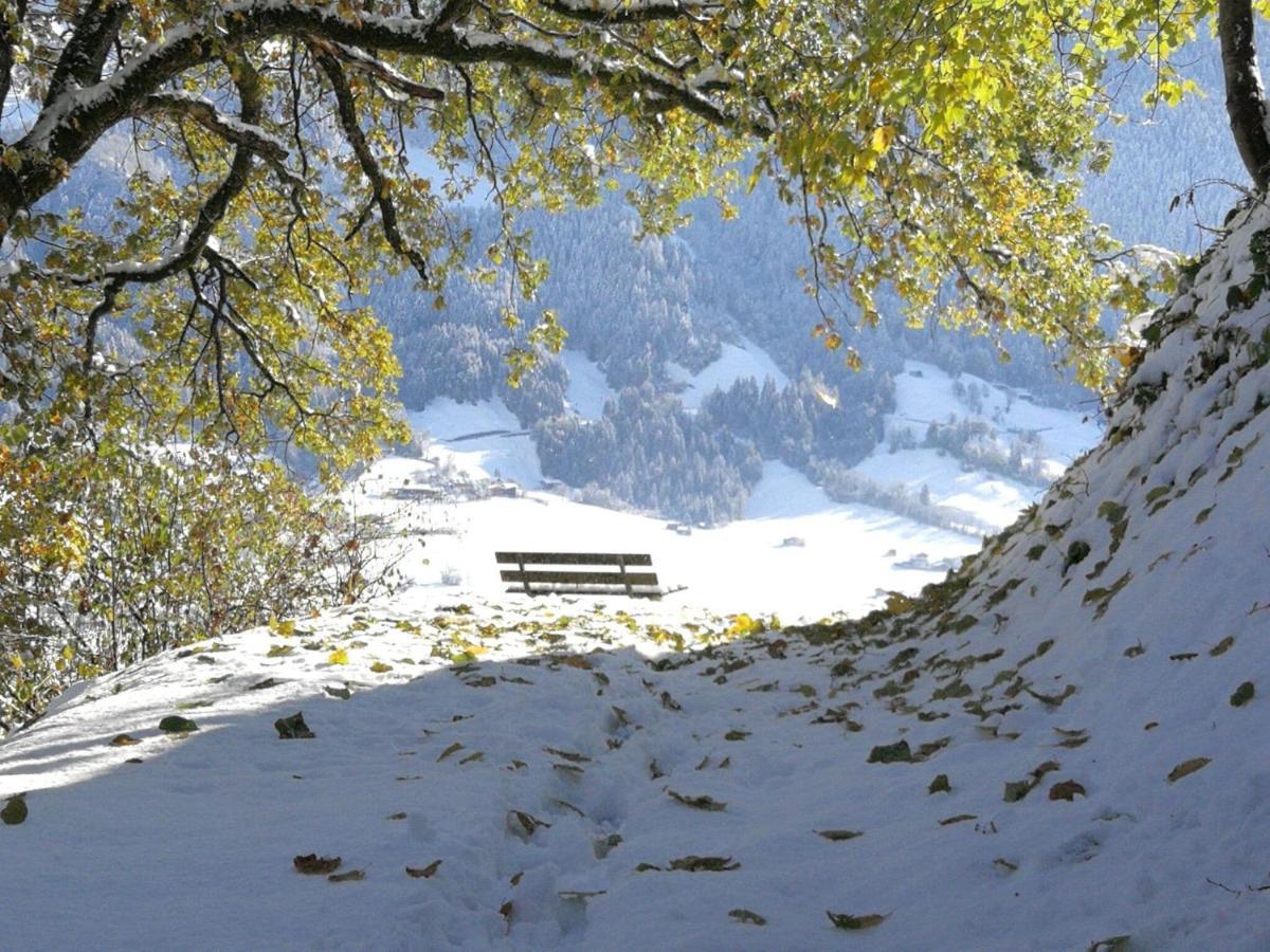 Holiday Flat Daniela, Hippach Im Zillertal Zewnętrze zdjęcie